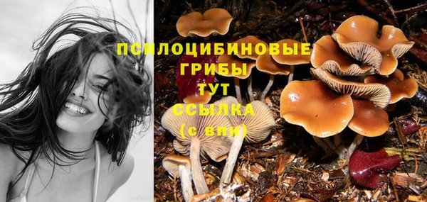 бутират Алзамай