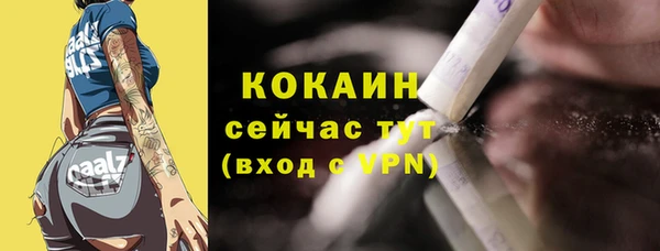 спайс Алексин