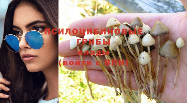 бутират Алзамай