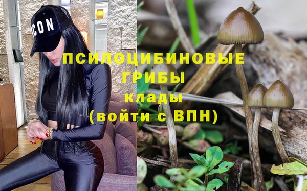 бутират Алзамай