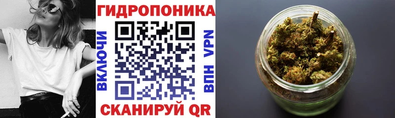 гидра как войти  Юрьев-Польский  Бошки Шишки AK-47 